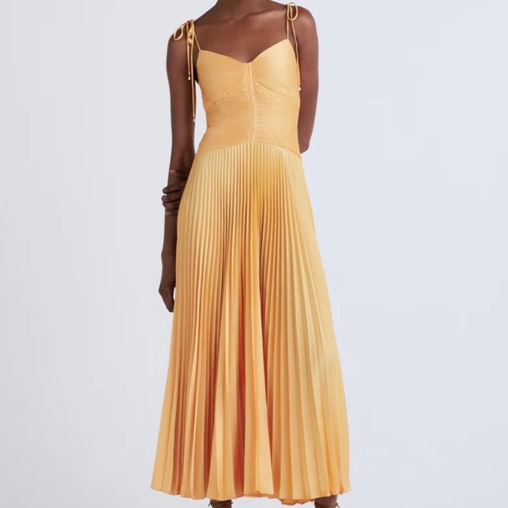 NWT Derek Lam 10 Crosby Rochelle Pleated Dress